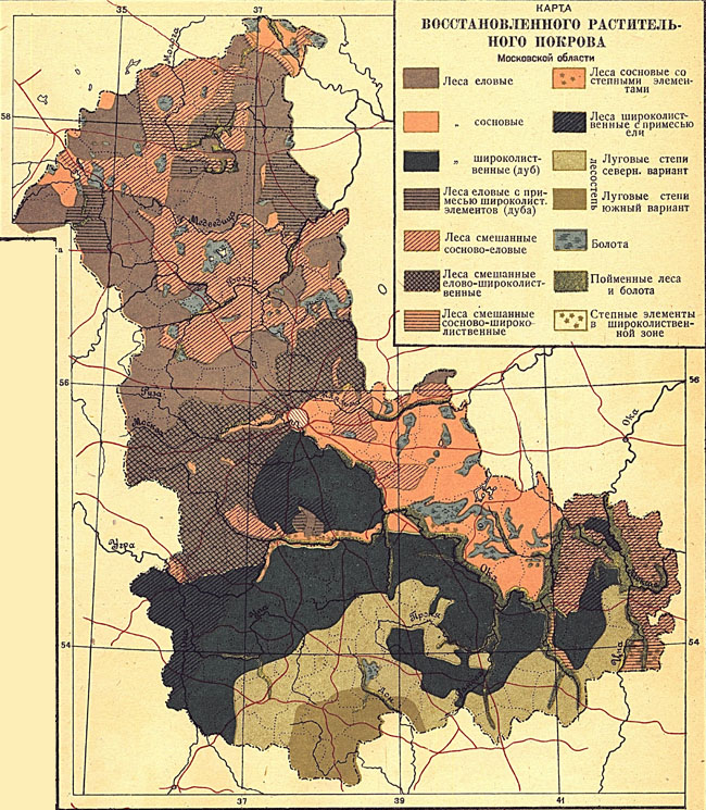 Карта сосновых лесов московской области